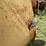 #1144-•-front-loader-bucket-attachment-image-9