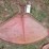 fenders-image-6