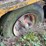 gooseneck-trailer-with-tank-image-10