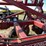 salford-570-image-17