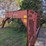 hillsboro-gooseneck-image-6