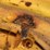 john-deere-6030-image-45