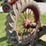 farmall-f-14-image-35