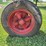 farmall-regular-image-10