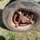 farmall-super-c-image-16