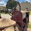 farmall-f-12-image-24