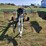 claas-350t-rotary-rake---field-ready-image-8