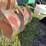 #1284-•-front-loader-bucket-attachment-image-7
