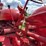 farmall-w-9-image-41