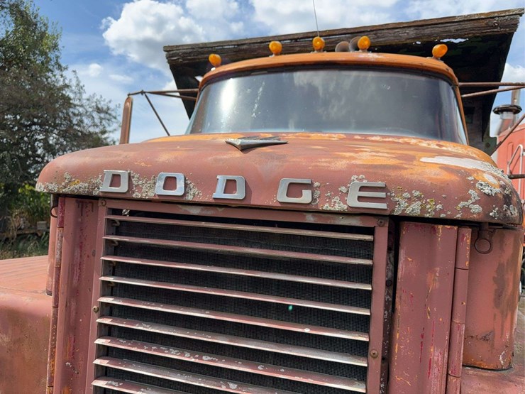 dodge-800-image-34
