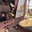 farmall-806-image-73