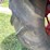 mccormick-deering-w-30-image-29
