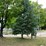 #3306-•-2026-campsite-lease-at-three-lakes-campground-(three-lakes,-wi)-image-8