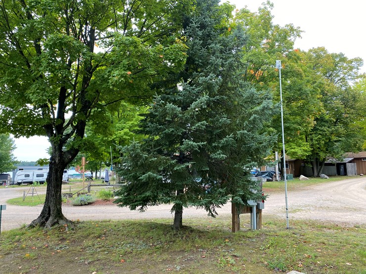 #3306-•-2026-campsite-lease-at-three-lakes-campground-(three-lakes,-wi)-image-8