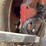 farmall-super-a-image-27