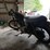 triumph-motorcycle-image-5