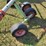 claas-350t-rotary-rake---field-ready-image-17