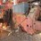 farmall-806-image-72