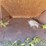 #1148-•-front-loader-bucket-attachment-image-12