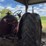 mccormick-wd-9-diesel-image-4