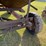 gravity-wagon-image-17