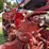 farmall-400-image-38