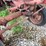 farmall-a-image-20