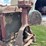 farmall-f-20-image-51