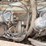federal-grain-truck-image-60