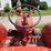 mccormick-w-4-standard-image-36