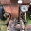 ford-8n-image-22