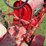 farmall-f-14-image-42