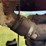 farmall-f-20-image-60