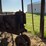 farmall-f-12-image-8