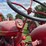 mccormick-w6-standard-image-39