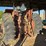 farmall-806-image-3
