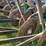 john-deere-8200-image-24