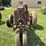farmall-f-20-image-11