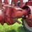 farmall-b-image-34