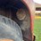 international-loadstar-image-19