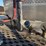2013-peterbilt-389k-image-20