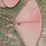 fenders-image-5