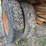 international-loadstar-image-22