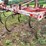 white-12-shank-chisel-plow-image-19