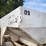 western-simonsen-n64l-tandem-axle-lime/fertilizer-spreader-image-31