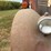 federal-grain-truck-image-52