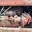 farmall-h-image-29