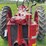 farmall-f-14-image-22