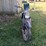 honda-motorcycle-image-10