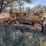 caterpillar-d6-image-1
